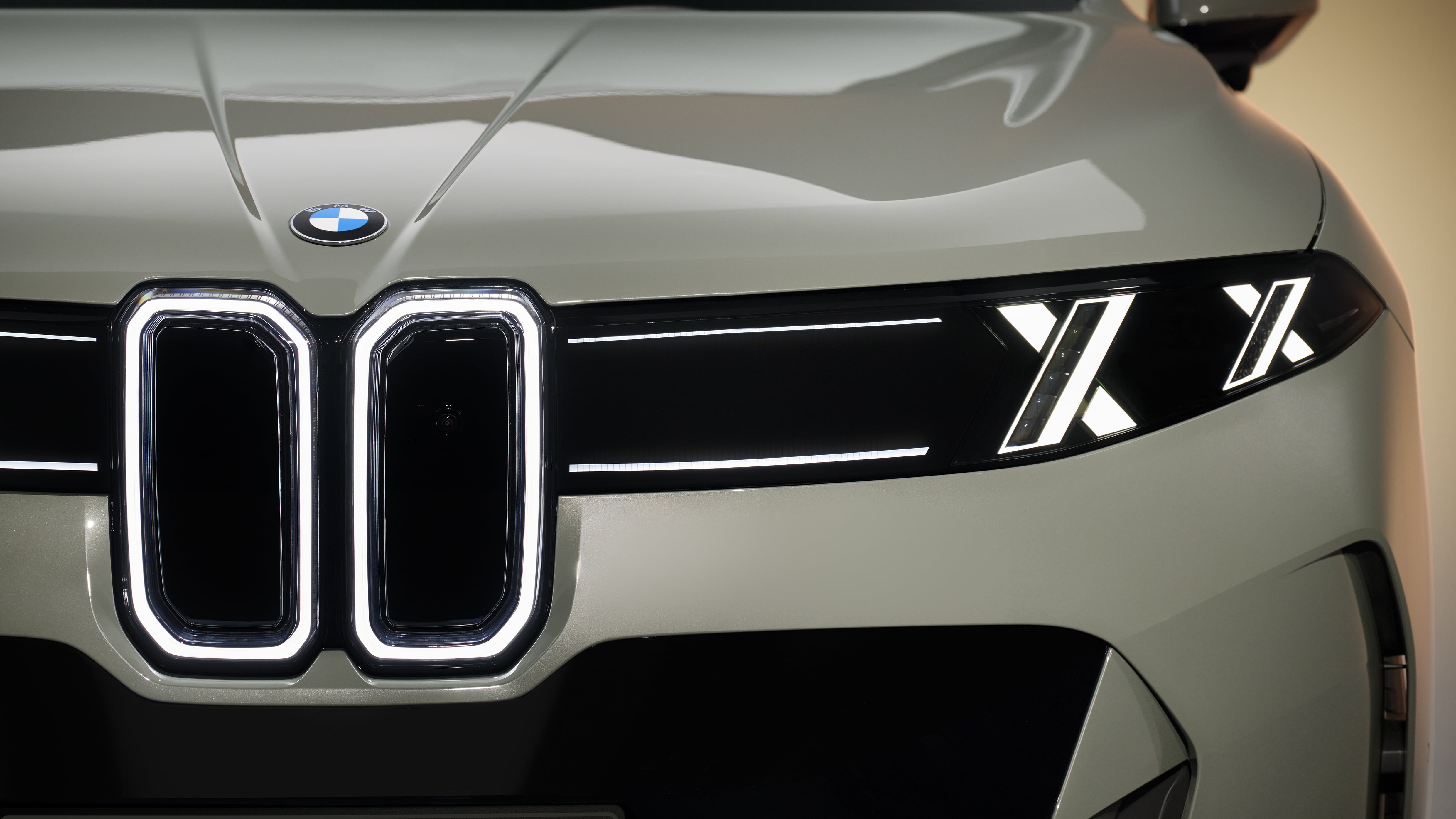 Scharfer Blick: Front des neuen BMW X5